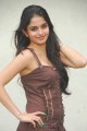 Sheena Shahabadi Latest Hot Pics