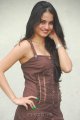 Sheena Shahabadi Latest Hot Pics