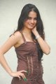 Sheena Shahabadi Latest Hot Pics