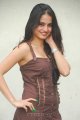 Sheena Shahabadi Latest Hot Pics