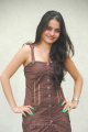 Sheena Shahabadi Latest Hot Pics