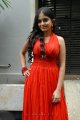 Sheena Shahabadi New Hot Photos Stills