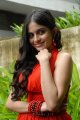 Sheena Shahabadi New Hot Photos Stills