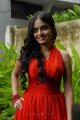 Sheena Shahabadi New Hot Photos Stills