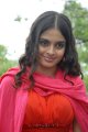 Sheena Shahabadi New Hot Photos Stills