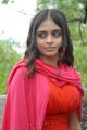 Sheena Shahabadi New Hot Photos Stills