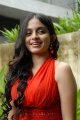 Sheena Shahabadi New Hot Photos Stills