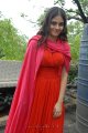 Sheena Shahabadi New Hot Photos Stills