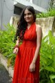 Sheena Shahabadi New Hot Photos Stills