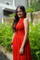 Sheena Shahabadi New Hot Photos Stills