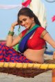 Sheena Shahabadi Hot Pics