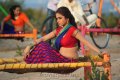 Sheena Shahabadi Hot Pics