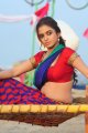 Sheena Shahabadi Hot Pics