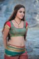 Sheena Shahabadi Hot Pics