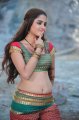 Sheena Shahabadi Hot Pics