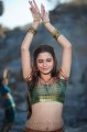 Sheena Shahabadi Hot Pics