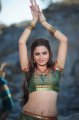 Sheena Shahabadi Hot Spicy Pics