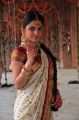 Actress Sheena Shahabadi in Traditional Silk Saree Stills