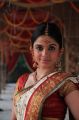 Telugu Actress Sheena Shahabadi in Traditional Silk Saree