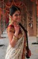 Actress Sheena Shahabadi in Traditional Silk Saree Stills