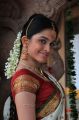 Telugu Actress Sheena Shahabadi White Bridal Saree Stills