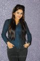 Sheena Shahabadi New Photoshoot Pics