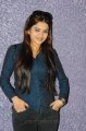 Sheena Shahabadi New Photoshoot Pics