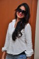 Sheena Shahabadi Photo Shoot Gallery