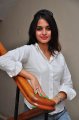 Sheena Shahabadi Photo Shoot Gallery