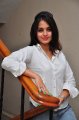 Sheena Shahabadi Photo Shoot Gallery