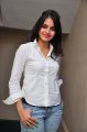 Sheena Shahabadi Photo Shoot Gallery