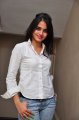 Sheena Shahabadi Photo Shoot Gallery