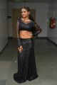 Shreya Vyas @ Sher Movie Audio Launch Stills