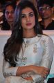 Sonal Chauhan @ Sher Movie Audio Launch Stills