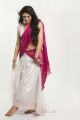 Tamil Actress Sherin in Half Saree Photoshoot Gallery