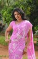 Sheryl Brindo Saree Photos from Machan Movie