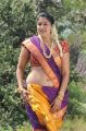 Machan Actress Sheryl Pinto Hot Saree Pics