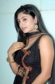 Actress Shikha Stills