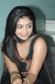 Actress Shikha Stills