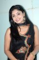 Actress Shikha Stills