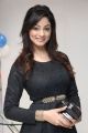 Actress Shillpi Sharma Images @ Bajaj Electronics 13th Showroom Launch