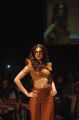 Model Shilpa Reddy walks the ramp for her show at LFW Winter Festive 2013
