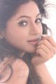 Telugu Actress Shilpi Sharma Hot Photoshoot Stills