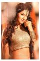 Actress Shilpi Sharma Hot Photoshoot Stills