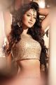 Telugu Actress Shilpi Sharma Hot Photoshoot Stills