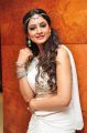 Telugu Actress Shilpi Sharma New Hot Pics