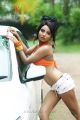 Actress Shilpi Shukla Spicy Hot Photo Shoot Stills