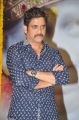 Nagarjuna at Shirdi Sai Sangeetha Vajrotsavam Stills