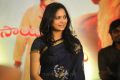 Singer Sunitha at Shirdi Sai Movie Audio Success Meet Stills