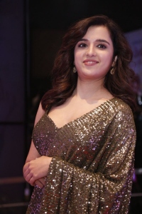 Actress Shirley Setia Saree Pics